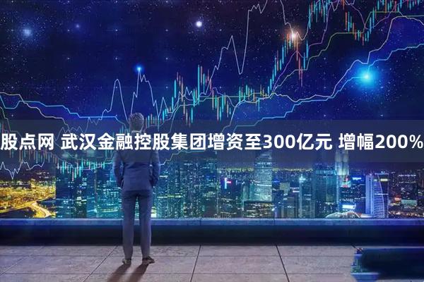 股点网 武汉金融控股集团增资至300亿元 增幅200%